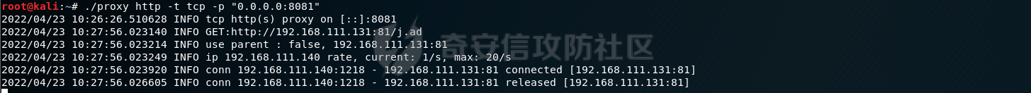 image-20220423222847432.png