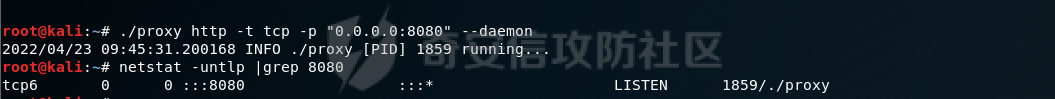 image-20220423214555465.png